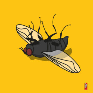 Fliege tot · Neue Klare Linie